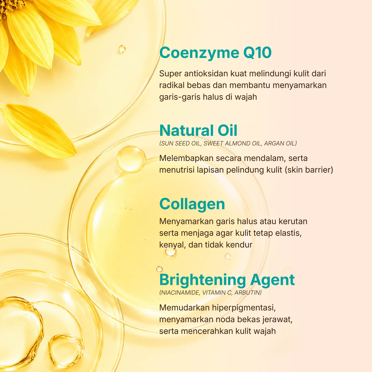 Glo It Up CoQ10+++ Intensive Cream New Packaging
